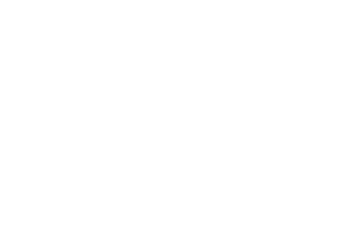 Dominik Seebach